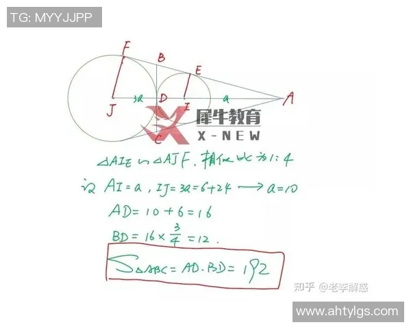 独家解析：西安排球队比赛经验的深度对比与影响分析